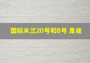 国际米兰20号和8号 是谁